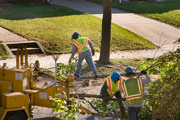 Best Pest Control for Lawns  in Downey, CA